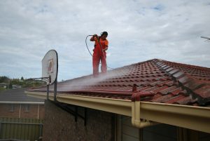 affordable roof cleaning