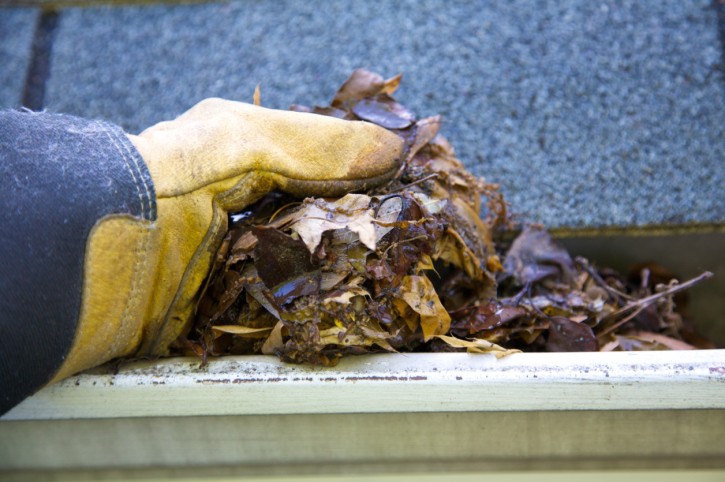How To Clean Your Roof Gutters