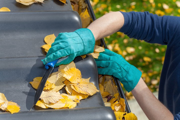 Gutter Cleaning Adelaide | Gutter Cleaners Adelaide | Rite Price
